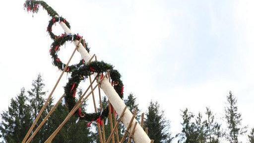 Maibaumaufstellen im Freileichtmuseum