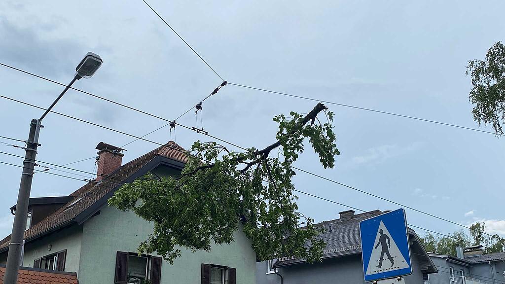 Unwetter in Salzburg-Stadt: Baum stürzt auf Obus-Leitung