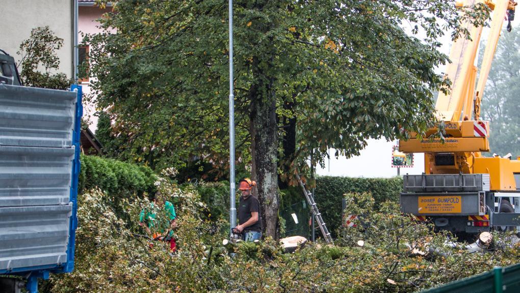 Unwetter: Aufräumarbeiten in Rif