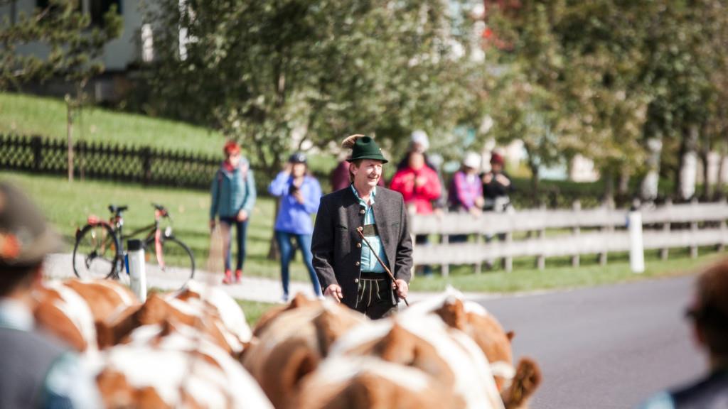 Almabtrieb St. Wolfgang II