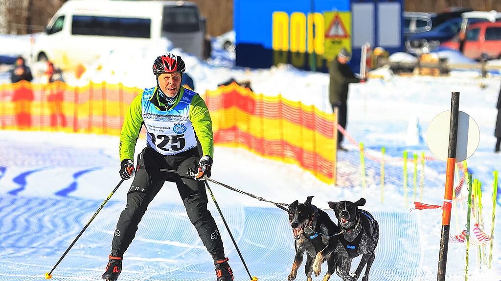 25. Hundeschlittenrennen in Werfenweng