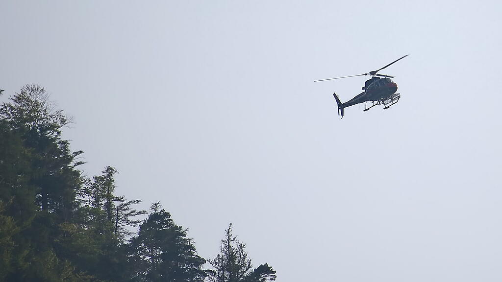Kleiner Waldbrand Untersberg