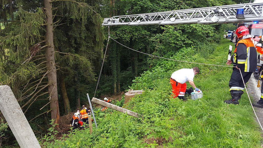 Schwerer Forstunfall in Loh: Mann unter Baum eingeklemmt