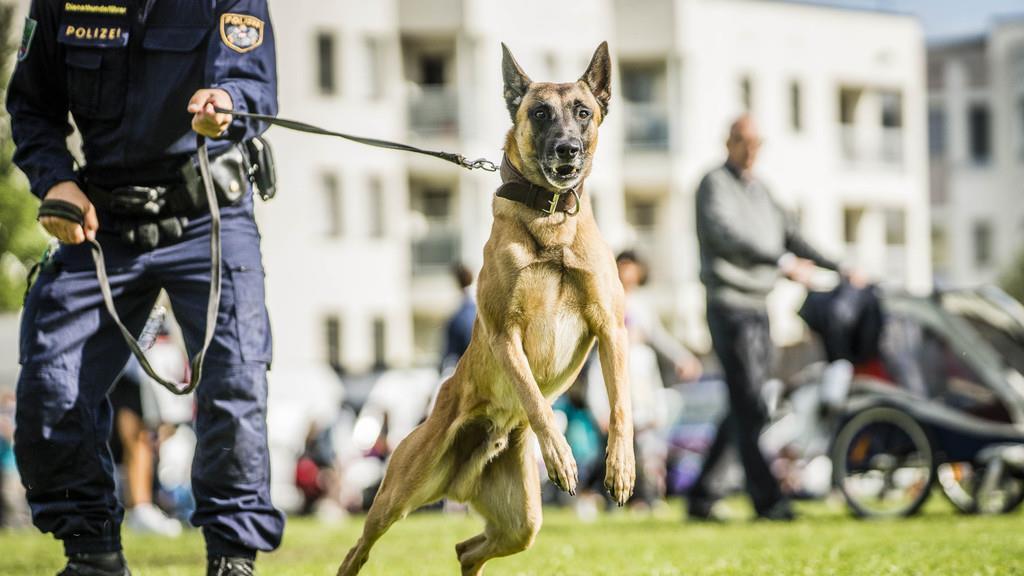 Tag der Polizei II