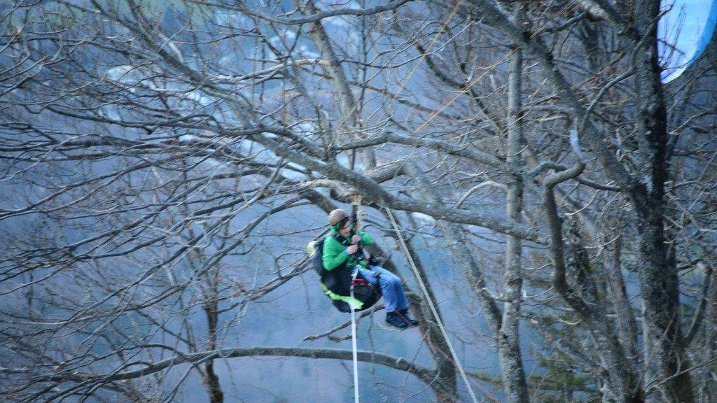 Paragleiter in Baum hängengeblieben