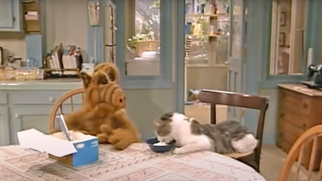 alf2.jpg
