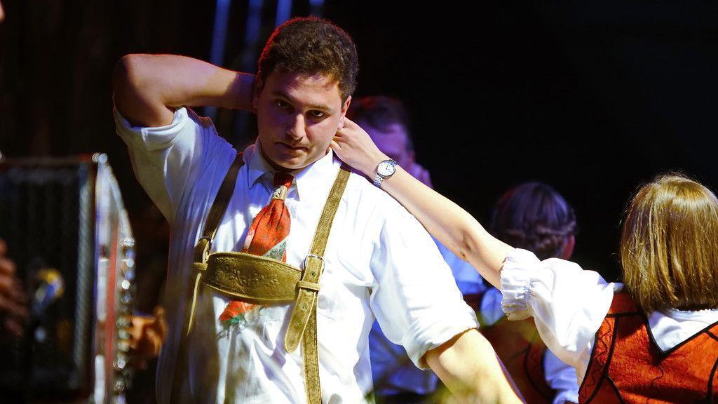 Meissnitzer Band beim HeuArt Fest in Abtenau