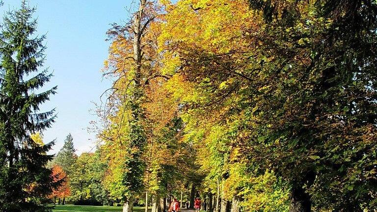 Herbstbilder aus Hellbrunn