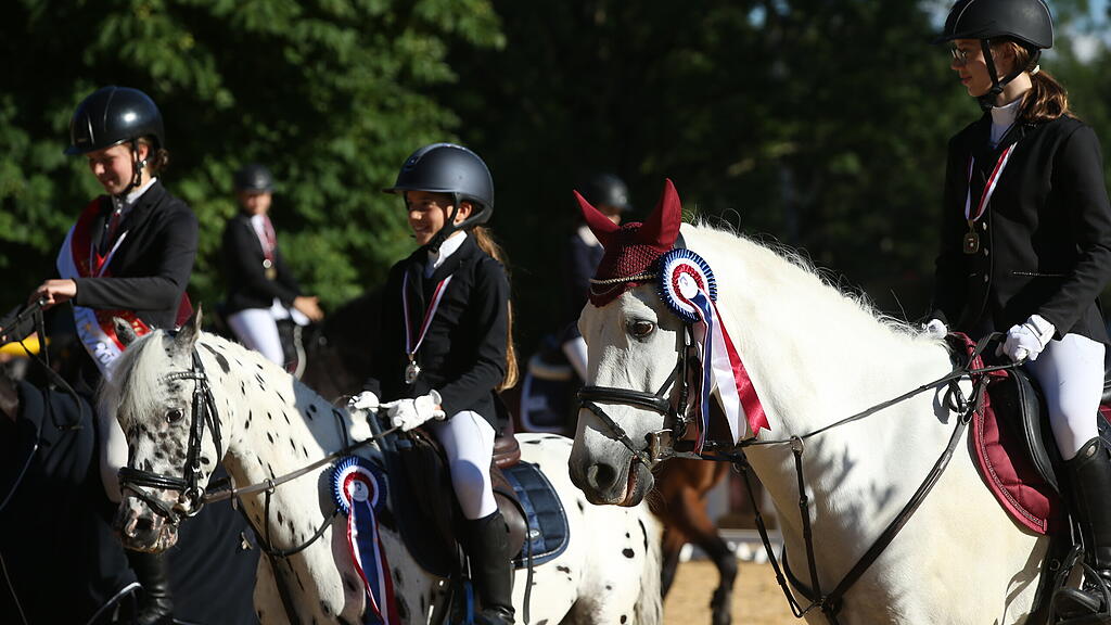 Landesmeisterschaft Springreiten 2022 Elixhausen