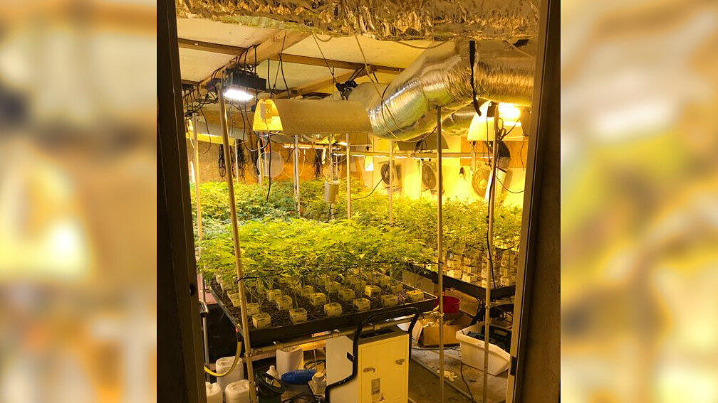 Cannabis-Plantage im Bezirk Kirchdorf