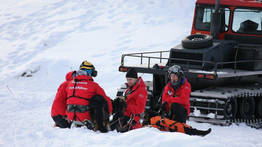 Superhunde im Einsatz