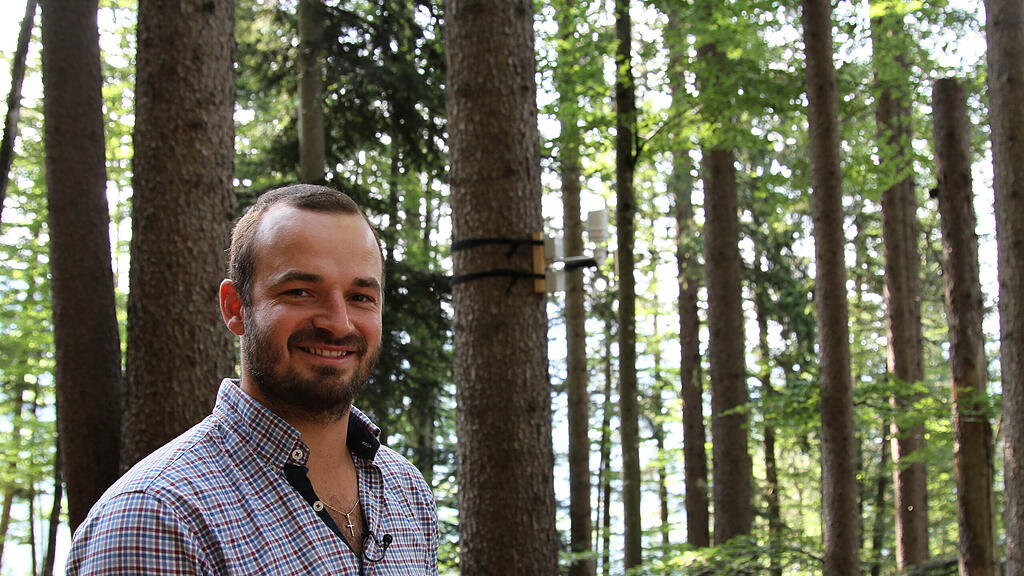 Wald Trockenheit, Messstationen