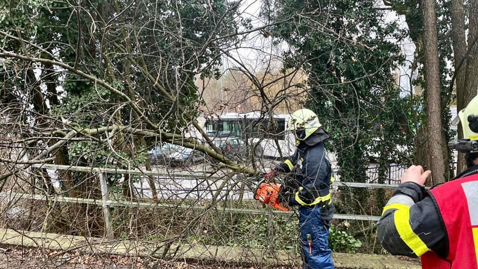 Sturm Niederösterreich