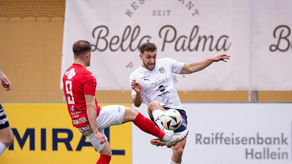 UFC Hallein_UFV Thalgau