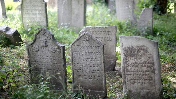 Letzte Ruhe als Ziel: Friedhofs-Navi zeigt Weg zu Wiener Gräbern