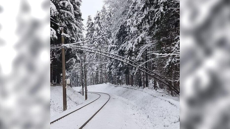 Bäume stürzen in Bürmoos auf Lokalbahnstrecke