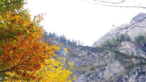 Goldener Oktober 2014