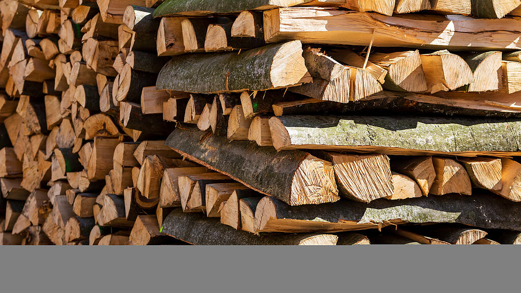 Holz