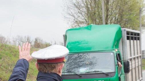 Tiertransporte kontrolliert