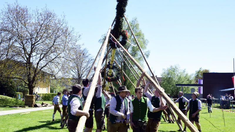 Maibaumaufstellen in Grödig
