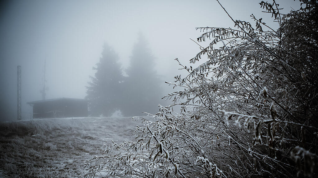 Schnee am Gaisberg