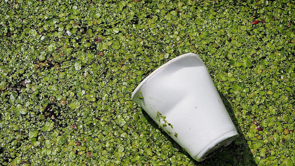 Plastik, Becher, Natur, SB