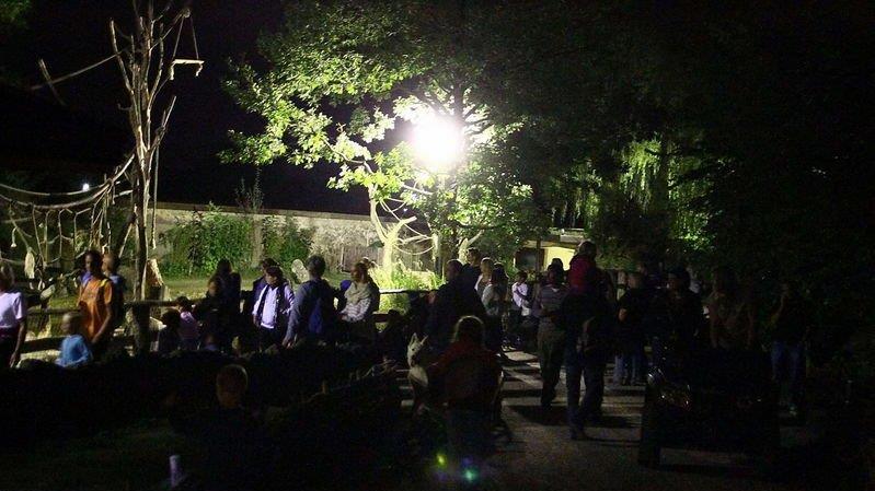 Nachtzoo in Salzburg