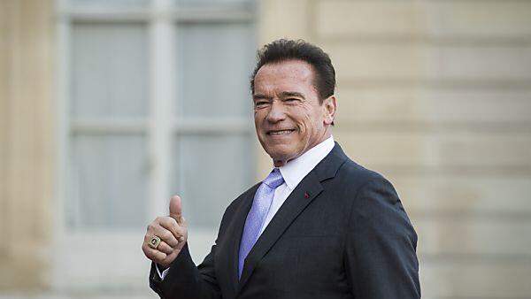 Vorderbeine des Insektes erinnerten Forscher an Schwarzenegger