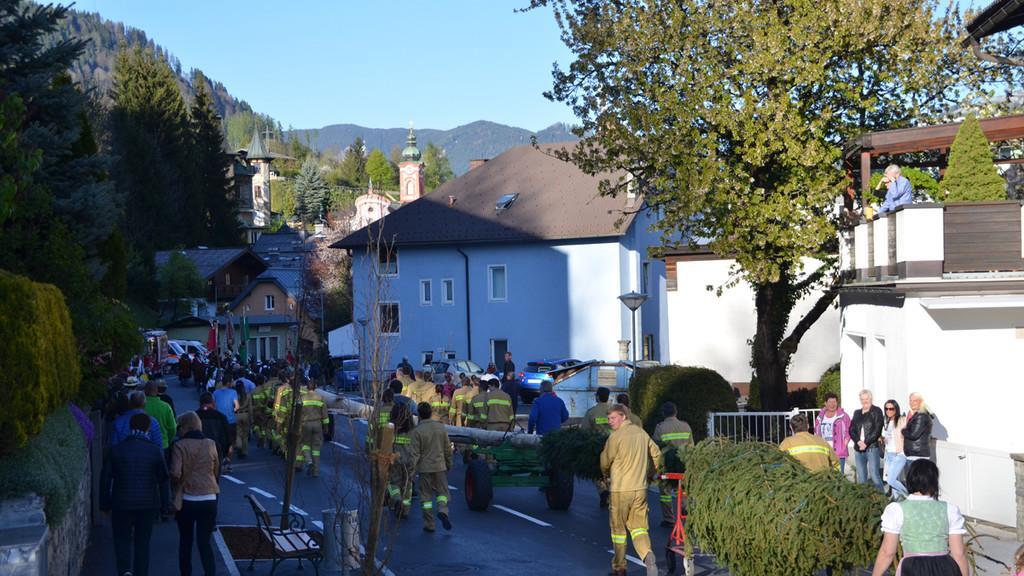 Schwarzacher Vereine bringen Maibaum