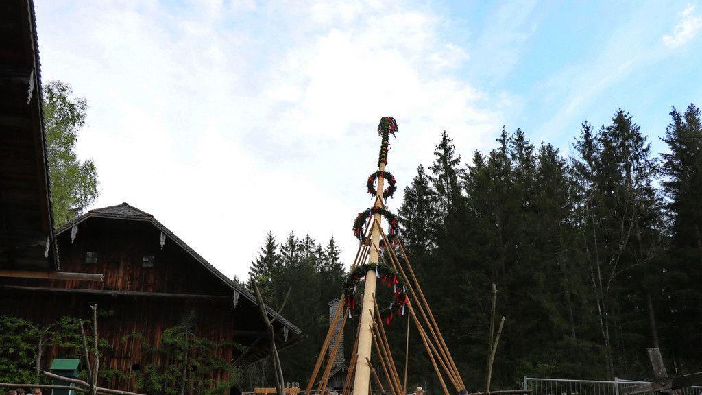 Maibaumaufstellen im Freileichtmuseum