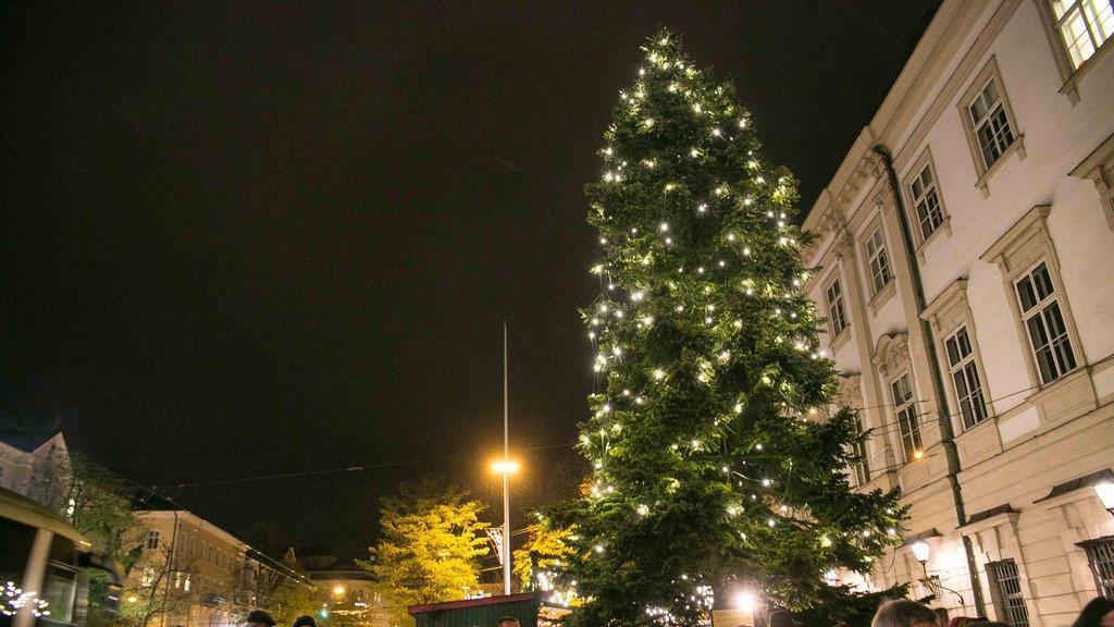 Christbaum vor Schloss Mirabell