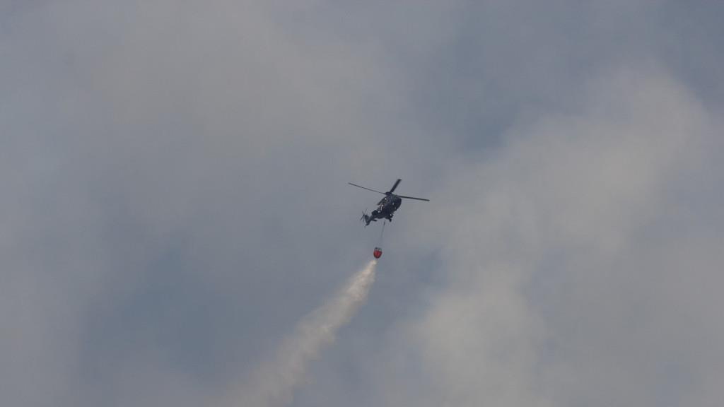 Waldbrand am Thumsee: Großeinsatz