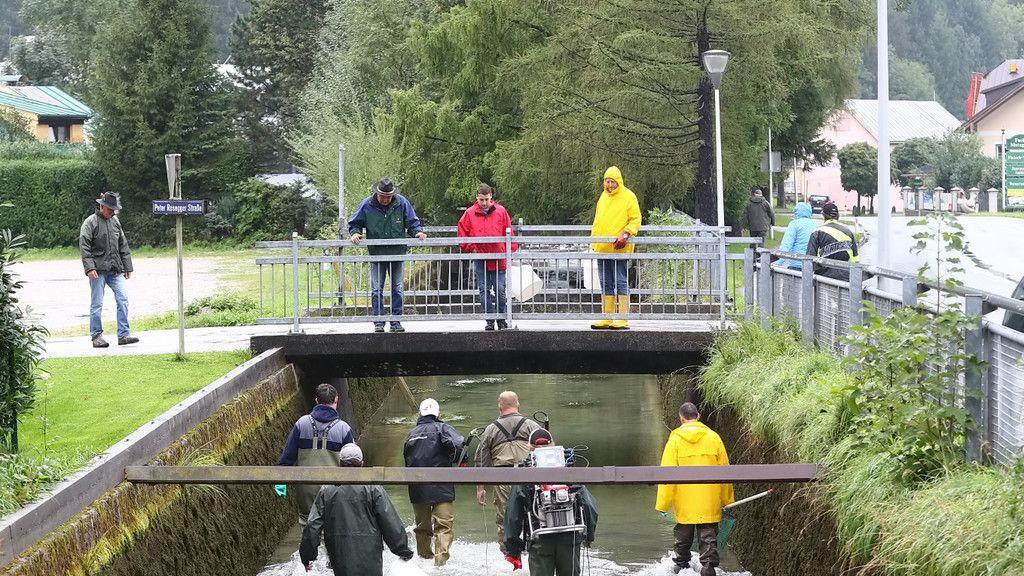 Almkanal Reinigung