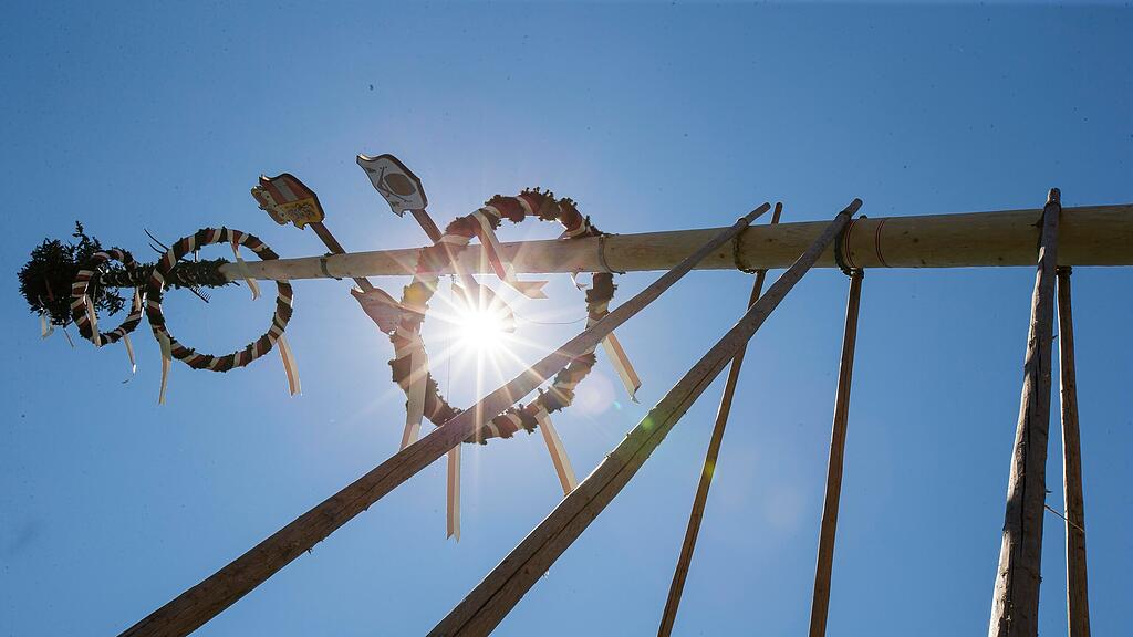 stiegl_maibaum_20160508_3.jpg