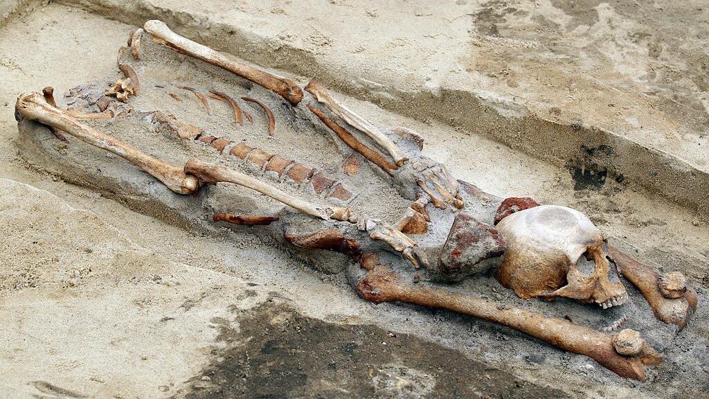 Das oberschlesische Gliwice macht mit "Friedhof der Vampire" Schlagzeilen.