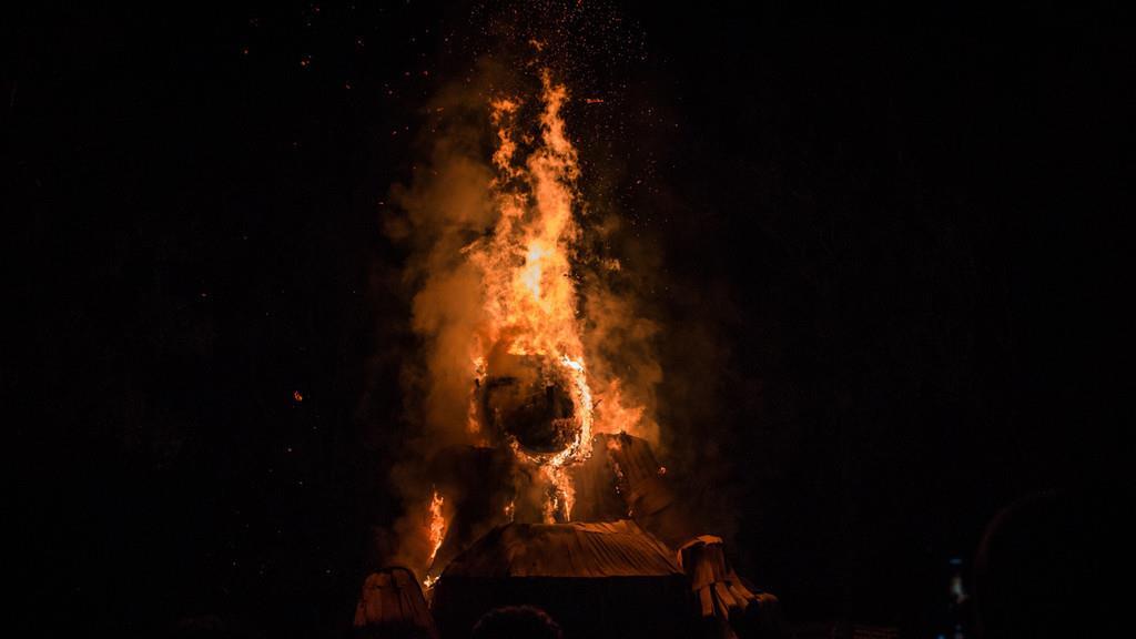 Burning Animal I