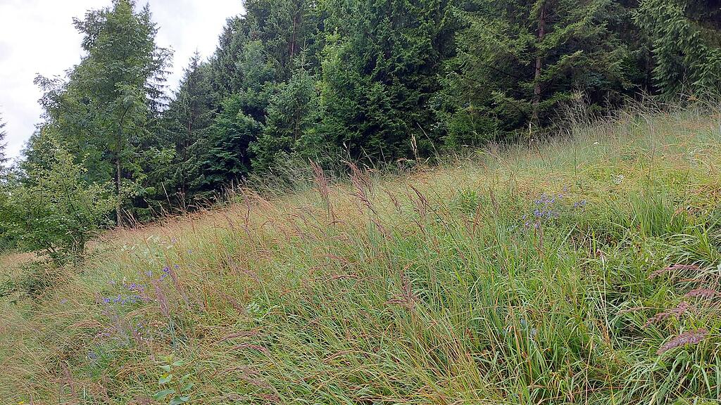 umweltbaustelle wiestalstausee