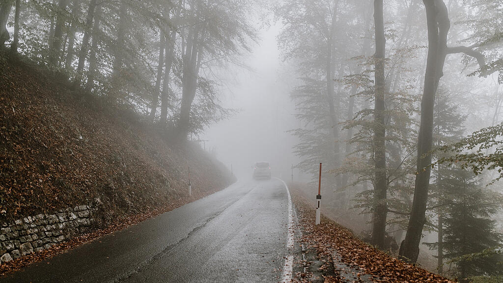 SB, Nebel, Herbst, Landstraße