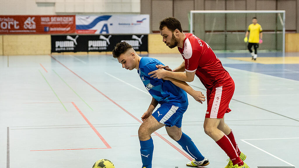 Salzburger Stier: Gruppe D