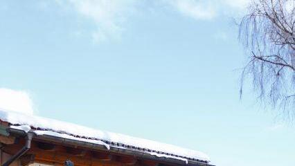 Faschingsumzug Ruhpolding
