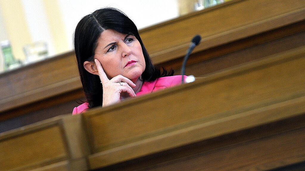 Zusätzlich zu Moser sollte auch Landeshauptfrau Gabi Burgstaller (SPÖ) ins Parlament zitiert werden, fordern die Salzburger ÖVP-Abgeordneten Peter Haubner und Konrad Steindl.