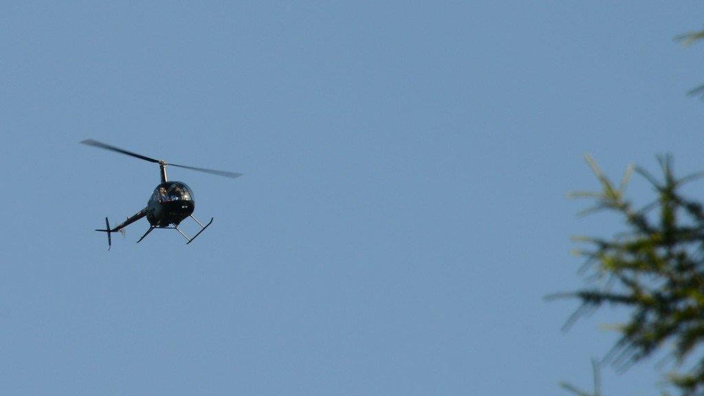 Paragleiter bleibt in Baum hängen