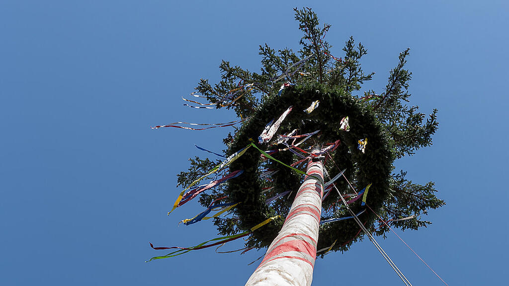 Kontrahent wollte Baum umschneiden