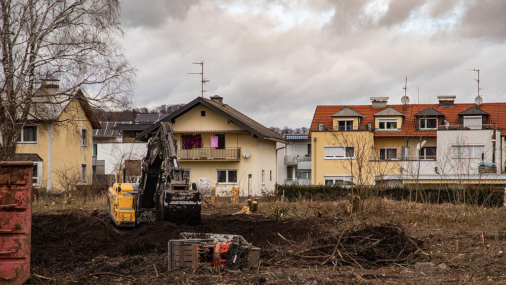 Schallmoos, Bagger, Biotop, Weiss