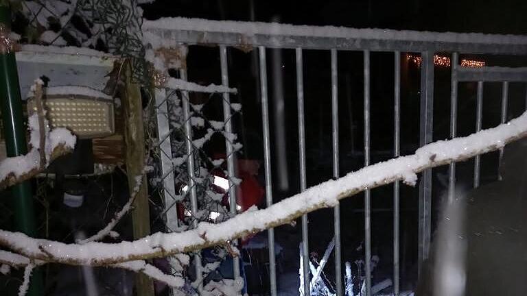Tierrettung Schäferhund Herakles