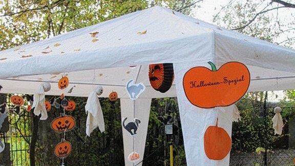 Halloween im Zoo, II
