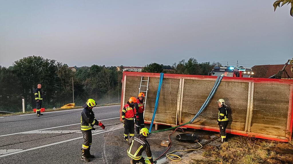 Schweinetransport kippt in NÖ um