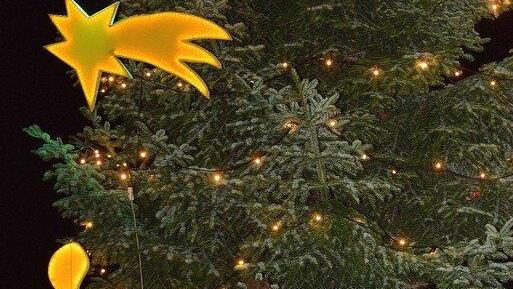 Christbaumtauchen am Traunsee