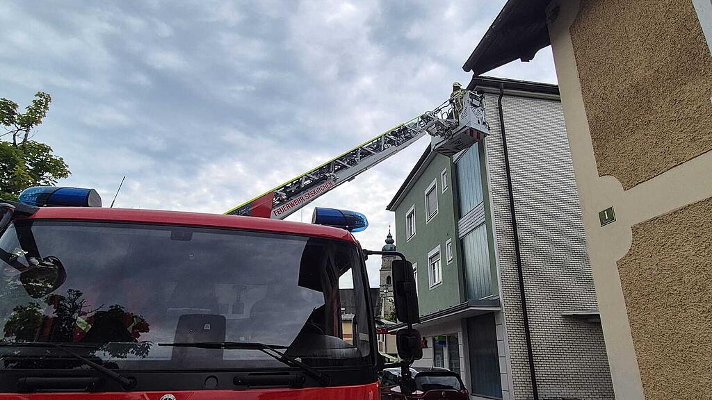 Tierrettung Seekirchen