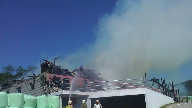 Bilder vom Brand